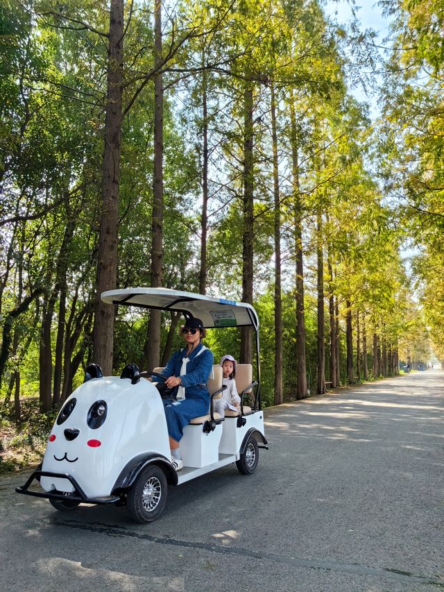 可以衝嘉北郊野公園的稻田（附保姆級攻略）。