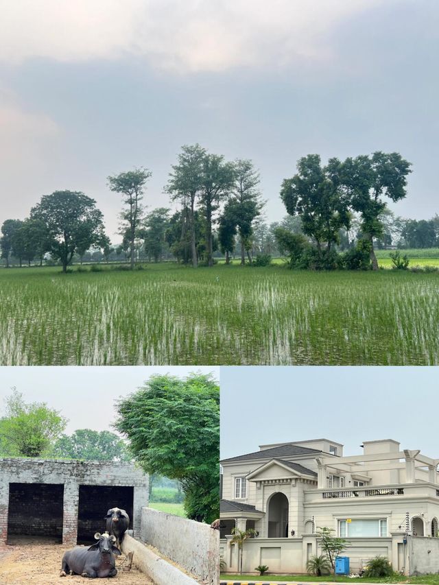 巴基斯坦 拉合爾旅遊攻略。