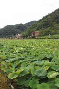 換個城市過周末，重慶到習水2小時。