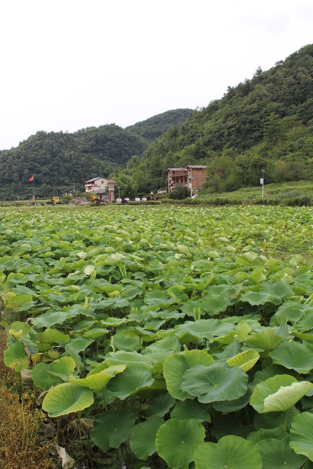 換個城市過周末，重慶到習水2小時。