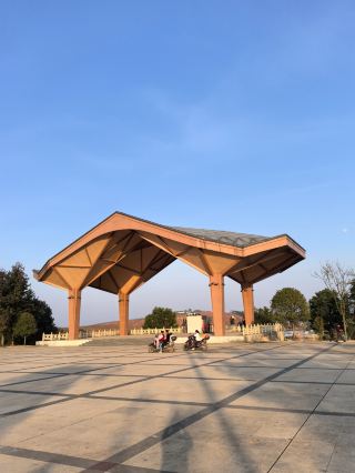 Not busy recently? Take a trip to Qiyang and enjoy a vacation at Tangjiashan Camellia Culture Park. 