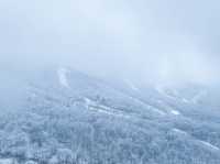 北大湖滑雪度假區 冰雪盛宴高山霧凇。