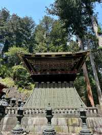 Exploring the Cultural and Natural Heritage of Nikko