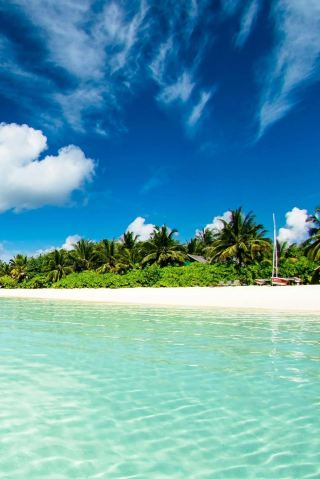 [Exploring Djerba Island] A hidden gem in the Mediterranean, your next travel destination. 