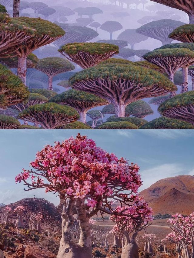這裡是印度的科技明珠  班加羅爾，。