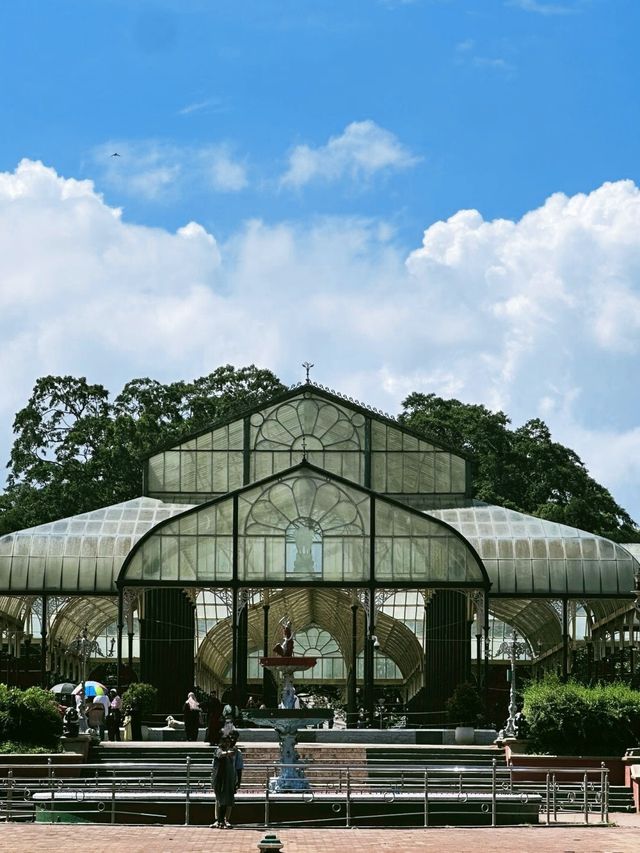 拉巴克植物園：周末的寧靜綠洲，與自然的親密接觸。
