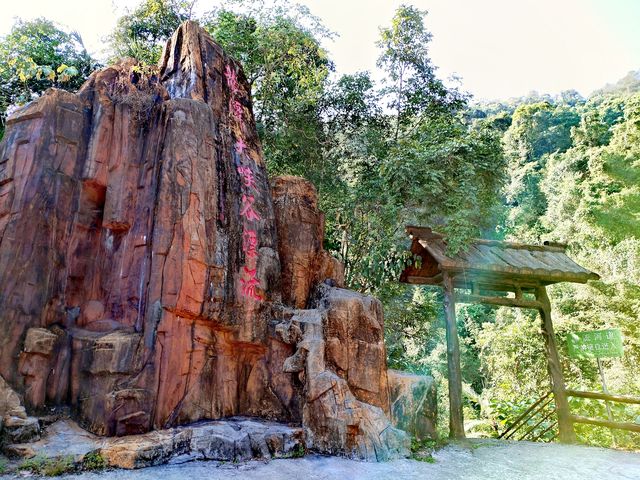 廣西桂平：龍潭國家森林公園「醉」一把氧。