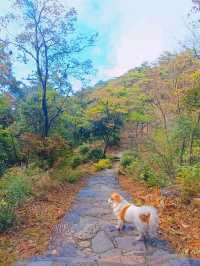 6日暢遊江西南昌-廬山-景德鎮 玩轉不重樣。