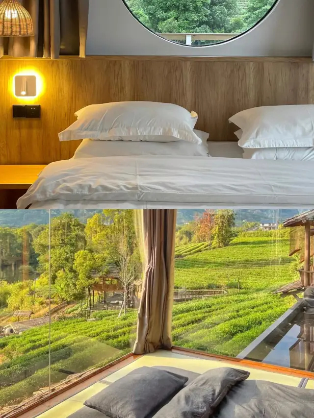 This tea mountain homestay in Qingyuan is really like a cloud. 