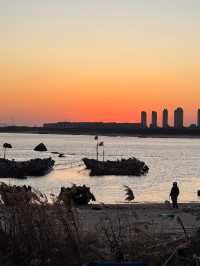 山東 青島｜推介來西海岸