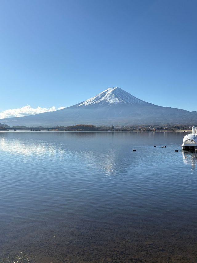 老友同遊日本享受純正溫泉之旅