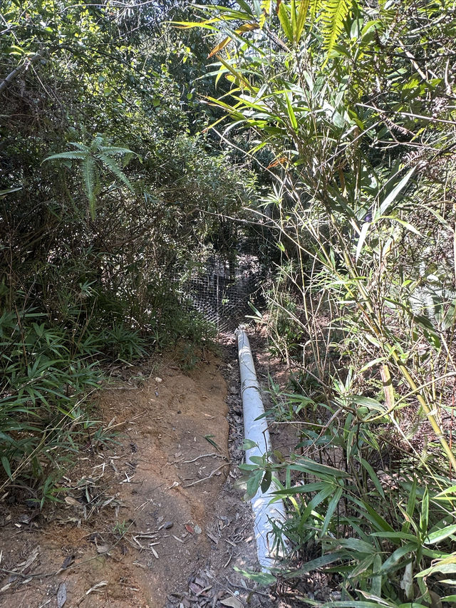 沒想到中山有這麼漂亮的地方！！