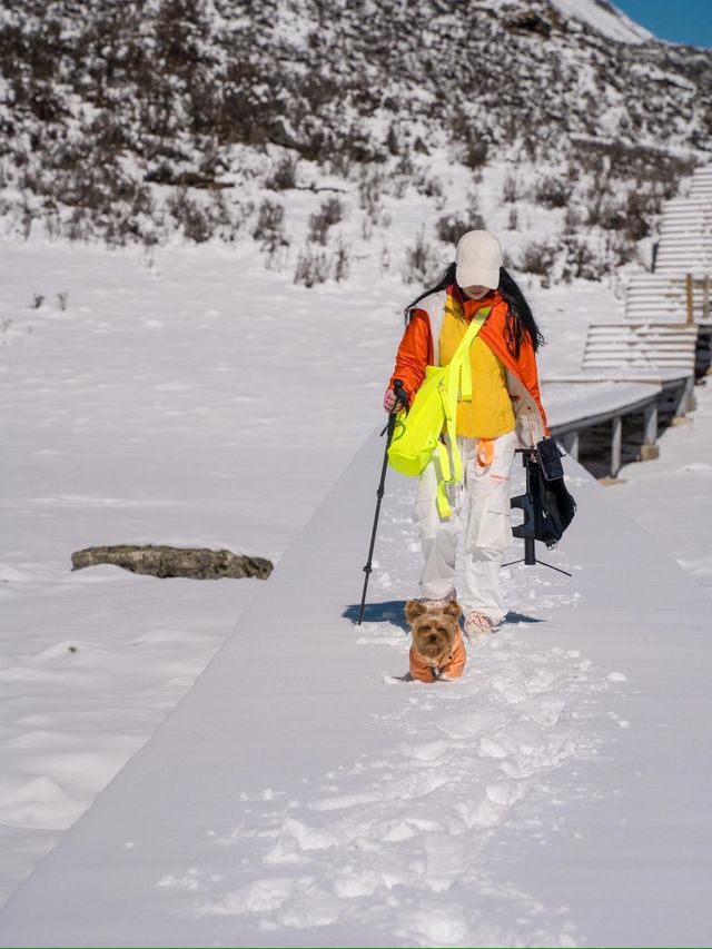 南方人終於玩上雪！這裡的冬天不要太神奇