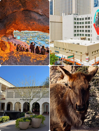 Phoenix City: A Fantasy Journey in the Desert