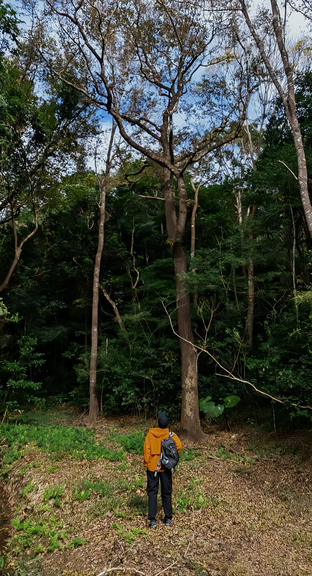 據說這是海南版的九寨溝