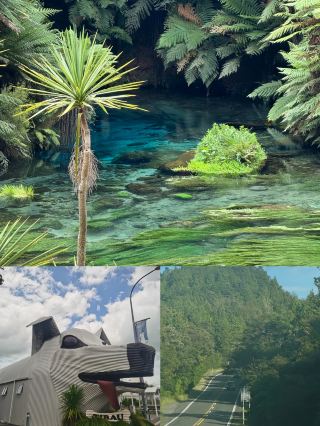 Auckland Blue Spring | A Clear Poem of Dreamy Water