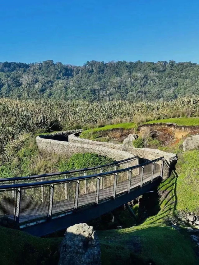 帕帕羅瓦國家公園千層薄餅岩攻略，野性西海岸