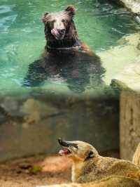 親子活動｜深圳野生動物園