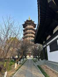 長沙洋湖濕地公園我拍的白鷺塔還可以吧？