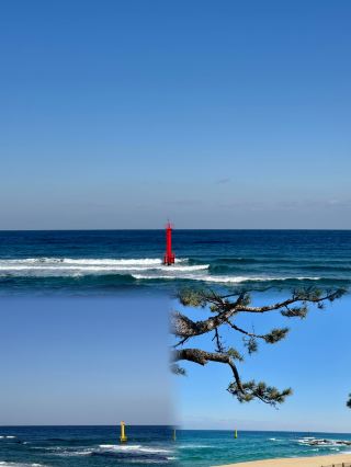 Gochang-gun, South Korea | A hidden gem that 99% of people don't know about!