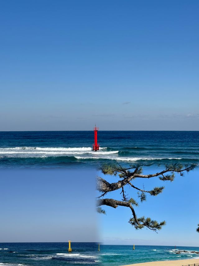 韓國高敞郡｜小眾寶藏旅行地，99%的人都不知道！