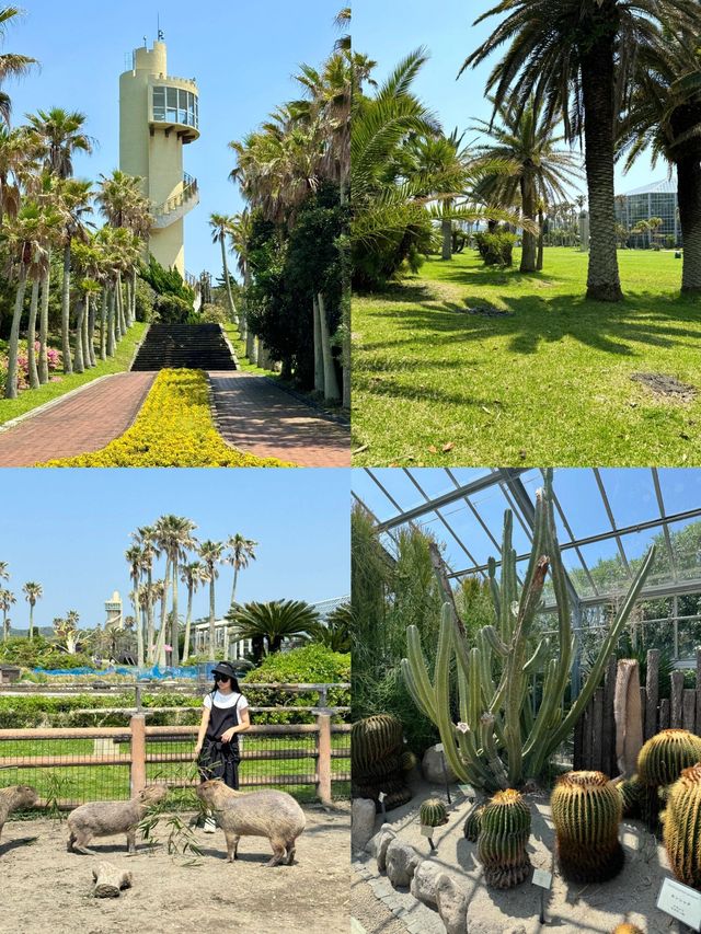 《邂逅館山，領略日本小眾海濱風情》