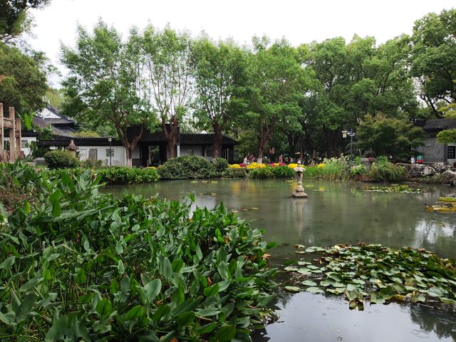 亭林公園 亭林公園