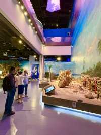 南海博物館『』來海南探索海洋秘境的必打卡之地