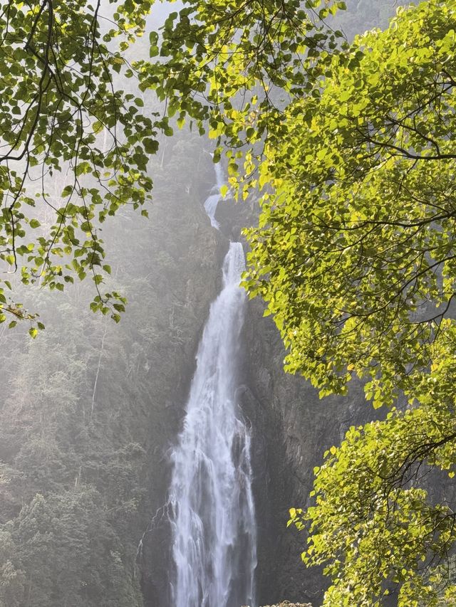 哀牢山