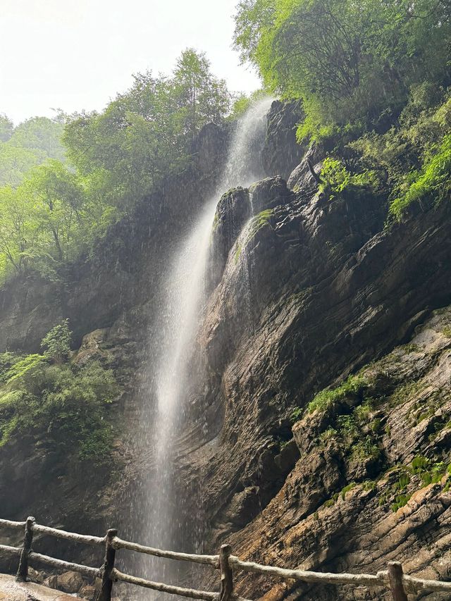 春節宕昌2日遊 要去景點大揭秘