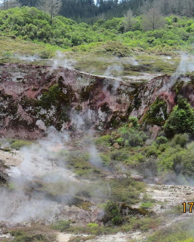 探秘新西蘭陶波：邂逅地球的奇妙篇章