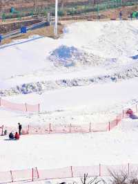 冬日裏的滑雪之旅雲上草原滑雪場