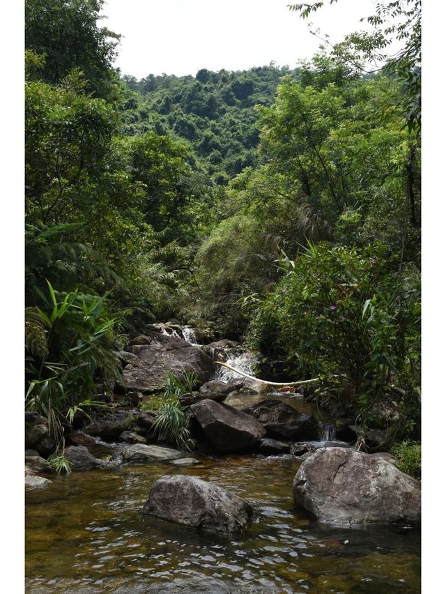 戶外徒步,就去廈門天竺山大峽谷氧吧…… 戶外徒步,就去廈門天竺山大峽谷氧吧……