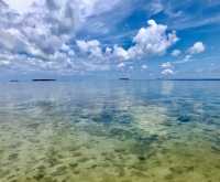 山打根海龜島｜海洋生命的庇護所