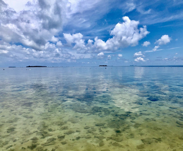 山打根海龜島｜海洋生命的庇護所