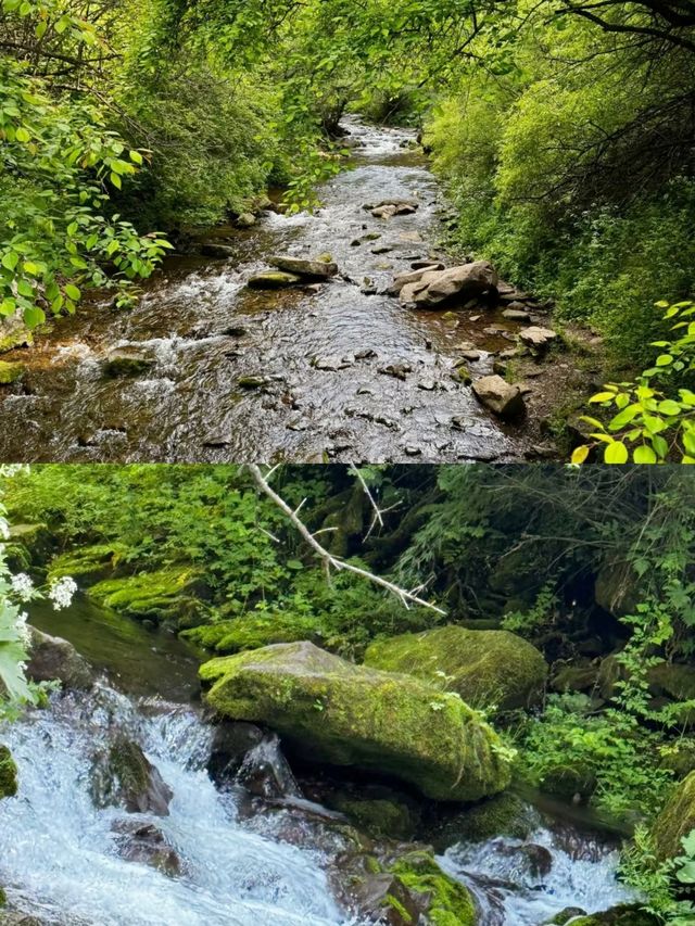 六盤山森林公園，避暑天堂等你來！