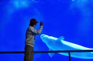 Fuzhou Day Trips: Family Fun at Yongtai Europark