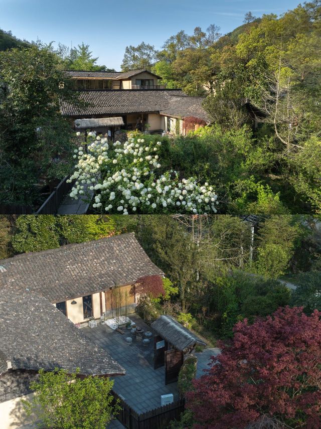 安吉民宿|做一日閒人，漫享山野。