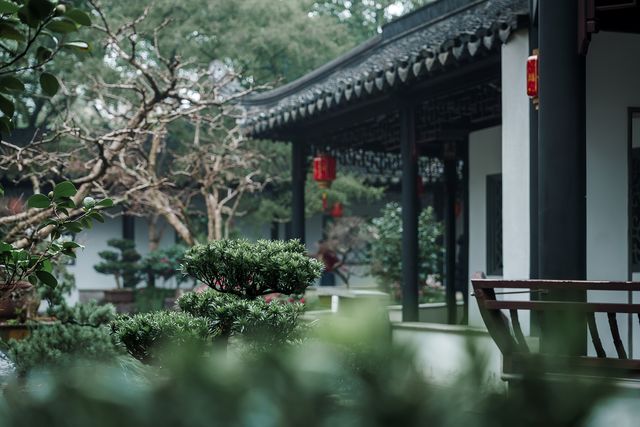 【上海青浦曲水園】雨中江南,絕美打卡地! 【上海青浦曲水園】雨中江南,絕美打卡地!