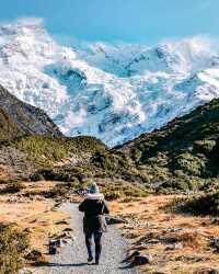 新西蘭庫克山村 | 凱阿點步道