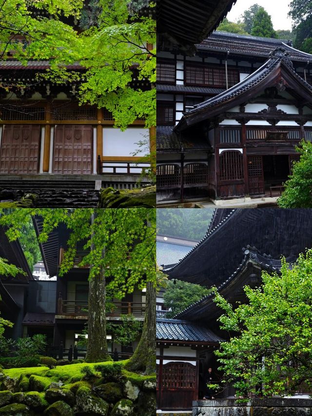 探秘福井：日本小眾旅行的夢幻之境