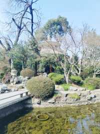 上海的小西湖—楊浦公園探尋