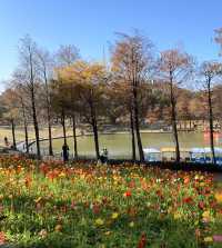 珠海都有夢幻莫奈花園，花開正盛