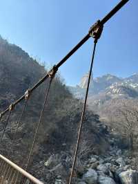 山東濟南-泰山3日遊 玩轉兩大景點 看這篇攻略就夠了