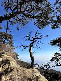 寒假遊山東濟南—泰山 美景不容錯過要去