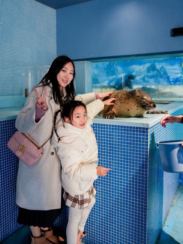 人間理想反向旅遊淡季的南伊豆下田
