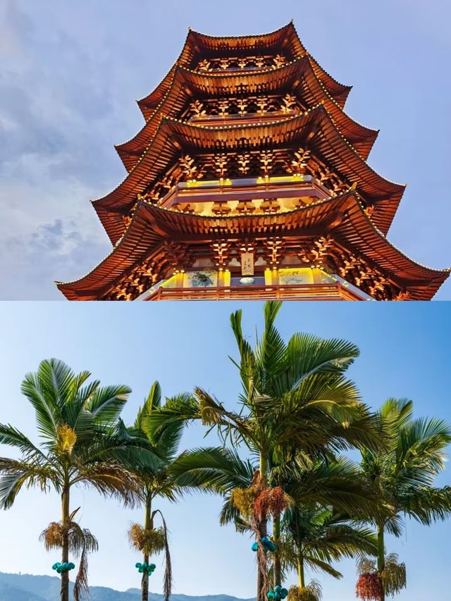 臨滄已回，請直接複製這條路線。