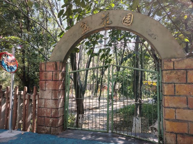 漫步冬日暖陽下的攀枝花公園