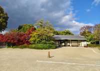 探索名古屋白鳥庭園｜欣賞自然之美