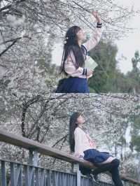 成都春日限定｜白梅花與JK少女，美得犯規！
